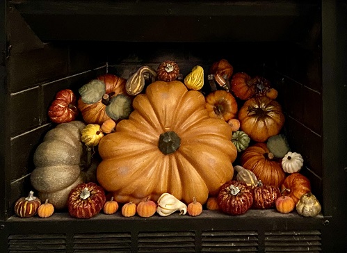 gourd fp.jpg